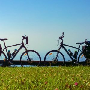 TRANSHUMANCES ARTISTIQUES 1 (balade-spectacle)